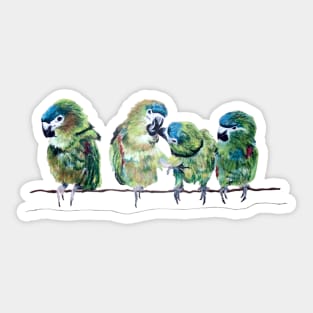 Parakeet Friends Sticker